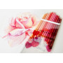 Jasart Studio Love Pencil Set 12 [FSC 100%]
