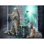 Super 3D 500pc Puzzle - HUBBLE BUBBLE