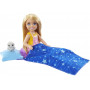 Barbie Doll And Accessories