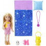 Barbie Doll And Accessories