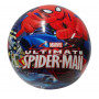 Licensed 9" Playballs Asstd