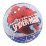 Licensed 9" Playballs Asstd