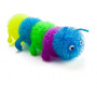 Rainbow Caterpillar