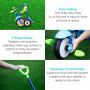 SmarTrike- Folding FUN 2 in 1 Blue/Green