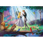 Rburg - Disney Sleeping Beauty Moments 1000pc