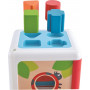 Hape - Shape Sorting Box