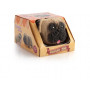 Squishy Pug