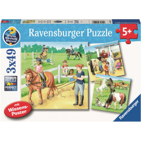 Rburg - A Day at the Stables Puzzle 3x49pc