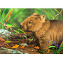 HOLDSON ALL CREATURES 1000pc WOMBAT