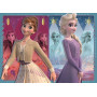 Rburg - Frozen 2 Devoted Sisters 60pc