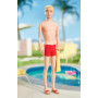 Barbie Ken 60Th Anniversary Doll