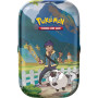Pokemon TCG Crown Zenith Mini Tin Asst