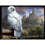 Super 3D 500pc - Harry Potter Hedwig