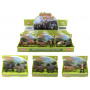 Jungle Animals Boxed