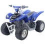 Yamaha Raptor ATV Ride On  Blue  12 Volt