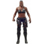 WWE BASIC FIGURE AST