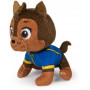 Paw Patrol Mini Plush Asst