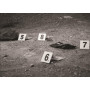 Case Files -  Underwood Cellars