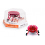 HEXBUG Beetle WIDE PDQ