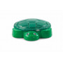 Turtle Sandbox 1 Pack