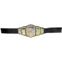 AEW Roleplay – Championship Belt